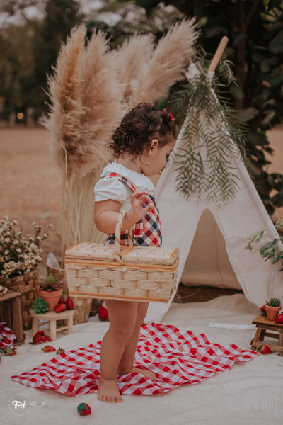 mini sessão; ensaio infantil; sessao picnic; ensaio picnic; ensaio dia das crianças; sessao moranguinho;sessao com frutinhas; fotos com morango; fotografa campo grande; fotos de bebes; maternidade; campo grande; mini ensaio; acompanhamento de bebe
