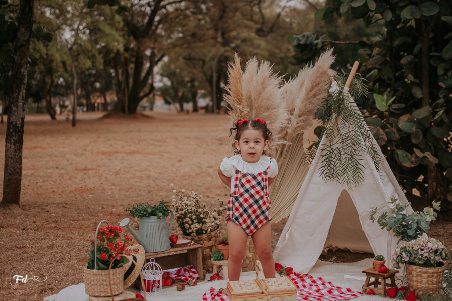 mini sessão; ensaio infantil; sessao picnic; ensaio picnic; ensaio dia das crianças; sessao moranguinho;sessao com frutinhas; fotos com morango; fotografa campo grande; fotos de bebes; maternidade; campo grande; mini ensaio; acompanhamento de bebe