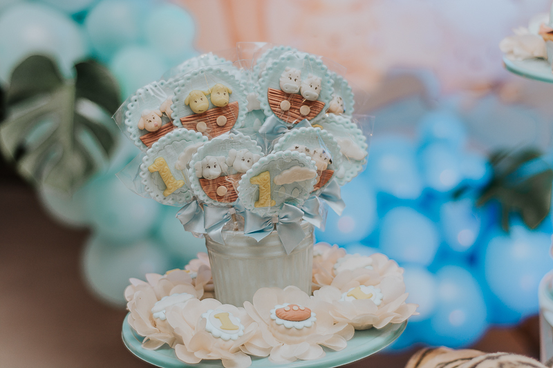 franciele duailibi photography; fotografia de festa infantil; festa infantil campo grande; campo grande; fotografia; decoração arca de noe ; buffet infantil campo grande; fotografa de criança; fotos de aniversario; franciele duailibi; festa de bebe; festa