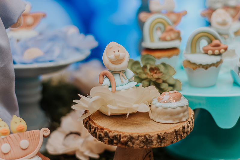 franciele duailibi photography; fotografia de festa infantil; festa infantil campo grande; campo grande; fotografia; decoração arca de noe ; buffet infantil campo grande; fotografa de criança; fotos de aniversario; franciele duailibi; festa de bebe; festa