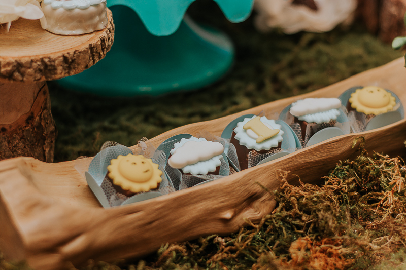 franciele duailibi photography; fotografia de festa infantil; festa infantil campo grande; campo grande; fotografia; decoração arca de noe ; buffet infantil campo grande; fotografa de criança; fotos de aniversario; franciele duailibi; festa de bebe; festa