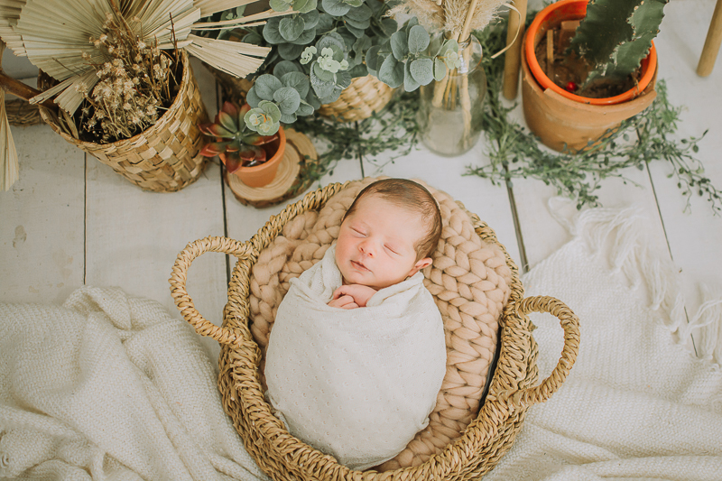  sessao newborn; newborn; campo grande; baby boy; fotos fran duailibi; mae de menina; pai de menina; newborn girl; mudo rosa; ensaio newborn; fotos de recem nascido campo grande; fotografo em campo grande; fotos de bebe; bebe com mamae; bebe com familia