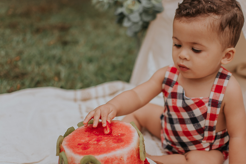franciele duailibi photography; fotografa campo grande;  fotografia de familia ; ensaio de bebe ; smash the cake; smash the cake campo grande; ensaio de bebe campo grande; ensaio 1 ano campo grande ; fotografo de criança; ensaio externo ; ensaio smash the