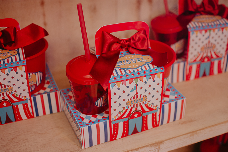 franciele duailibi photography; 
fotografo de festa infantil campo grande; campo grande;
fotografia;
decoração de festa;
buffet infantil campo grande;
fotografa de criança;
fotos de aniversario;
franciele duailibi;
fotografo de festa cg; festa circo 1 ano