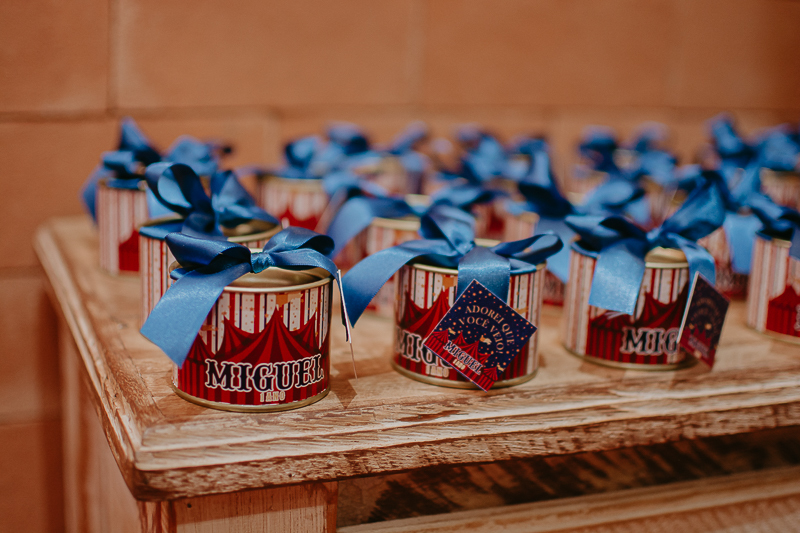 franciele duailibi photography; 
fotografo de festa infantil campo grande; campo grande;
fotografia;
decoração de festa;
buffet infantil campo grande;
fotografa de criança;
fotos de aniversario;
franciele duailibi;
fotografo de festa cg; festa circo 1 ano