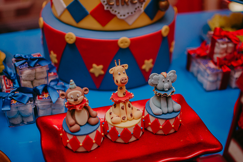 franciele duailibi photography; 
fotografo de festa infantil campo grande; campo grande;
fotografia;
decoração de festa;
buffet infantil campo grande;
fotografa de criança;
fotos de aniversario;
franciele duailibi;
fotografo de festa cg; festa circo 1 ano