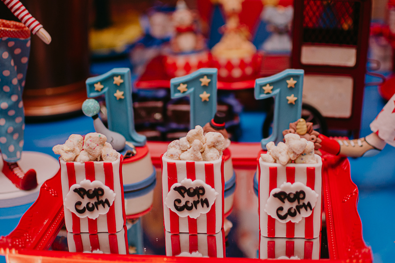 franciele duailibi photography; 
fotografo de festa infantil campo grande; campo grande;
fotografia;
decoração de festa;
buffet infantil campo grande;
fotografa de criança;
fotos de aniversario;
franciele duailibi;
fotografo de festa cg; festa circo 1 ano