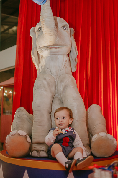 franciele duailibi photography; 
fotografo de festa infantil campo grande; campo grande;
fotografia;
decoração de festa;
buffet infantil campo grande;
fotografa de criança;
fotos de aniversario;
franciele duailibi;
fotografo de festa cg; festa circo 1 ano