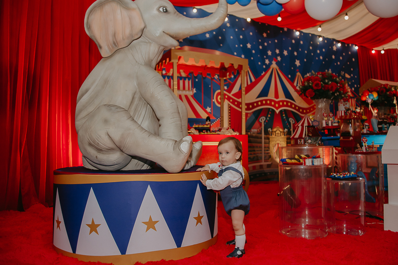 franciele duailibi photography; 
fotografo de festa infantil campo grande; campo grande;
fotografia;
decoração de festa;
buffet infantil campo grande;
fotografa de criança;
fotos de aniversario;
franciele duailibi;
fotografo de festa cg; festa circo 1 ano