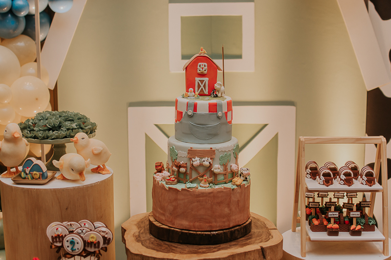 franciele duailibi photography; fotografia de festa infantil; festa infantil campo grande; campo grande; fotografia; decoração fazendinha ; buffet infantil campo grande; fotografa de criança; fotos de aniversario; franciele duailibi; festa de bebe; festa