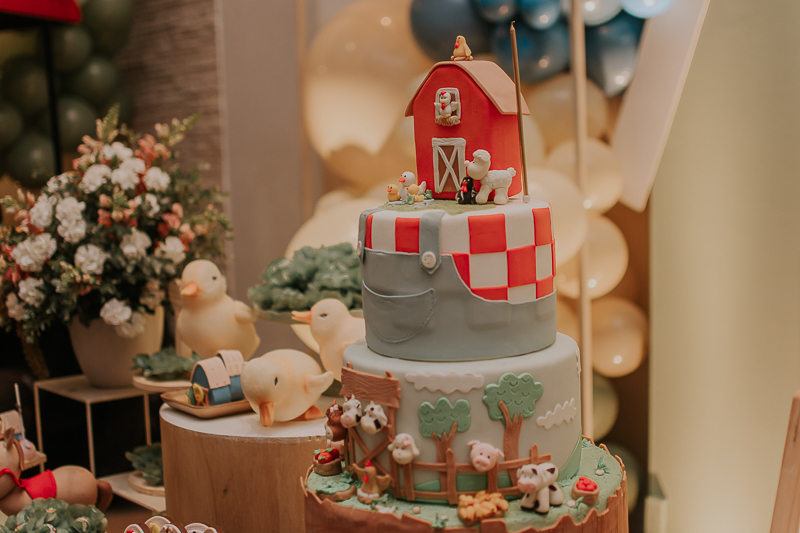 franciele duailibi photography; fotografia de festa infantil; festa infantil campo grande; campo grande; fotografia; decoração fazendinha ; buffet infantil campo grande; fotografa de criança; fotos de aniversario; franciele duailibi; festa de bebe; festa