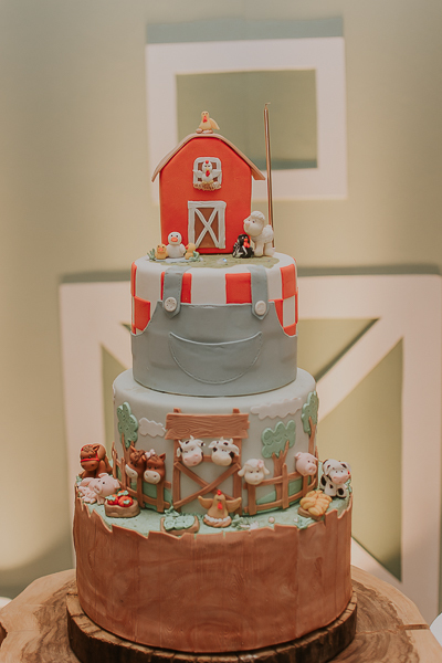 franciele duailibi photography; fotografia de festa infantil; festa infantil campo grande; campo grande; fotografia; decoração fazendinha ; buffet infantil campo grande; fotografa de criança; fotos de aniversario; franciele duailibi; festa de bebe; festa