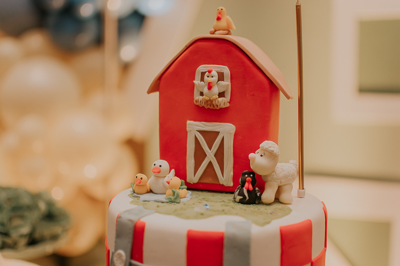 franciele duailibi photography; fotografia de festa infantil; festa infantil campo grande; campo grande; fotografia; decoração fazendinha ; buffet infantil campo grande; fotografa de criança; fotos de aniversario; franciele duailibi; festa de bebe; festa