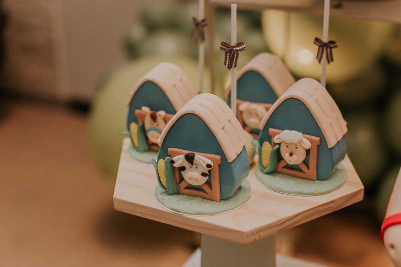 franciele duailibi photography; fotografia de festa infantil; festa infantil campo grande; campo grande; fotografia; decoração fazendinha ; buffet infantil campo grande; fotografa de criança; fotos de aniversario; franciele duailibi; festa de bebe; festa