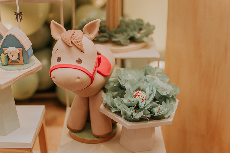 franciele duailibi photography; fotografia de festa infantil; festa infantil campo grande; campo grande; fotografia; decoração fazendinha ; buffet infantil campo grande; fotografa de criança; fotos de aniversario; franciele duailibi; festa de bebe; festa