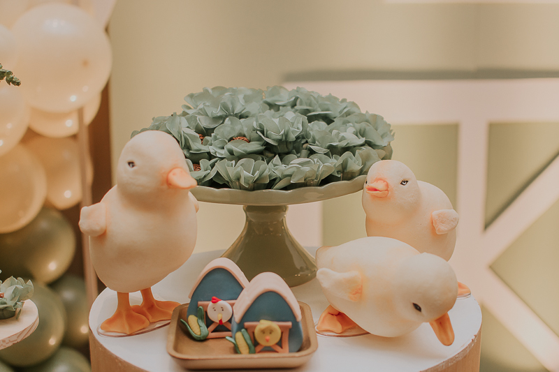 franciele duailibi photography; fotografia de festa infantil; festa infantil campo grande; campo grande; fotografia; decoração fazendinha ; buffet infantil campo grande; fotografa de criança; fotos de aniversario; franciele duailibi; festa de bebe; festa