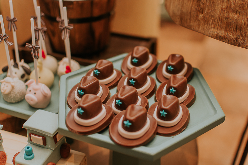 franciele duailibi photography; fotografia de festa infantil; festa infantil campo grande; campo grande; fotografia; decoração fazendinha ; buffet infantil campo grande; fotografa de criança; fotos de aniversario; franciele duailibi; festa de bebe; festa