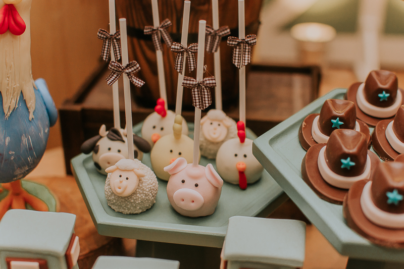 franciele duailibi photography; fotografia de festa infantil; festa infantil campo grande; campo grande; fotografia; decoração fazendinha ; buffet infantil campo grande; fotografa de criança; fotos de aniversario; franciele duailibi; festa de bebe; festa