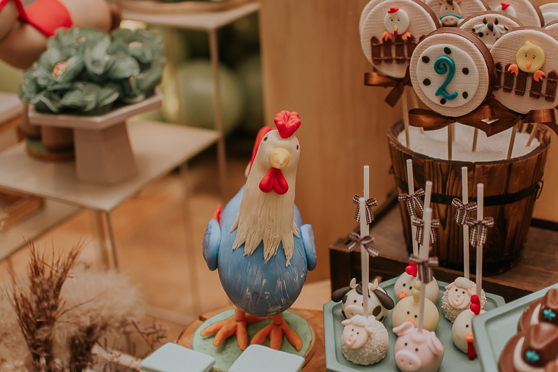 franciele duailibi photography; fotografia de festa infantil; festa infantil campo grande; campo grande; fotografia; decoração fazendinha ; buffet infantil campo grande; fotografa de criança; fotos de aniversario; franciele duailibi; festa de bebe; festa