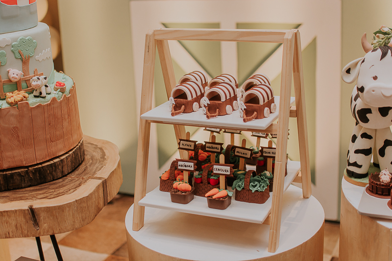 franciele duailibi photography; fotografia de festa infantil; festa infantil campo grande; campo grande; fotografia; decoração fazendinha ; buffet infantil campo grande; fotografa de criança; fotos de aniversario; franciele duailibi; festa de bebe; festa