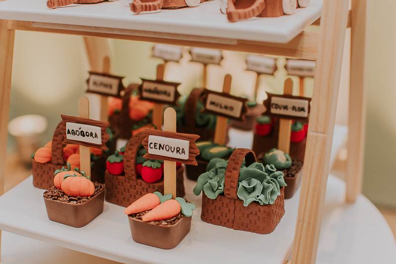 franciele duailibi photography; fotografia de festa infantil; festa infantil campo grande; campo grande; fotografia; decoração fazendinha ; buffet infantil campo grande; fotografa de criança; fotos de aniversario; franciele duailibi; festa de bebe; festa