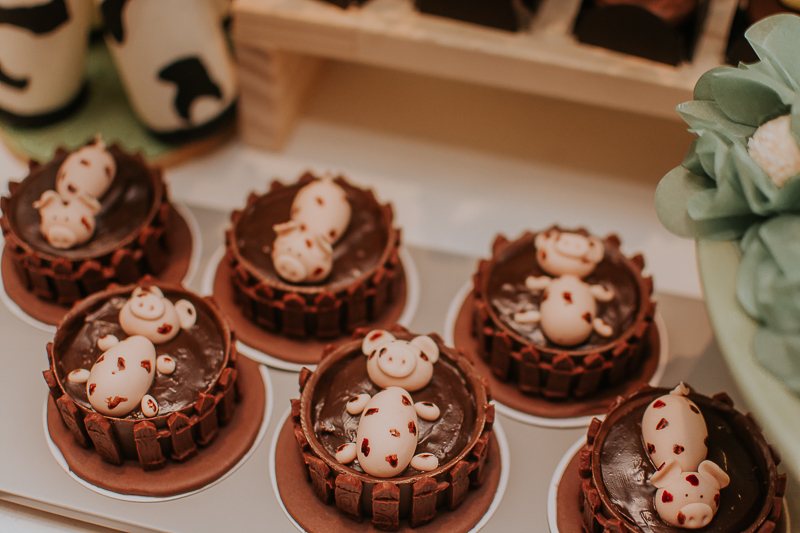 franciele duailibi photography; fotografia de festa infantil; festa infantil campo grande; campo grande; fotografia; decoração fazendinha ; buffet infantil campo grande; fotografa de criança; fotos de aniversario; franciele duailibi; festa de bebe; festa