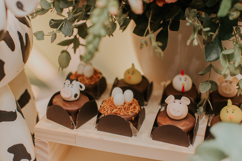 franciele duailibi photography; fotografia de festa infantil; festa infantil campo grande; campo grande; fotografia; decoração fazendinha ; buffet infantil campo grande; fotografa de criança; fotos de aniversario; franciele duailibi; festa de bebe; festa