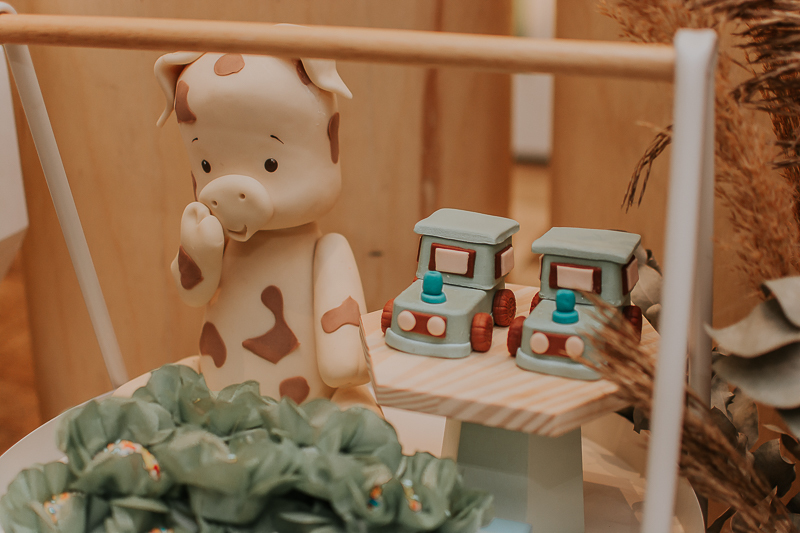 franciele duailibi photography; fotografia de festa infantil; festa infantil campo grande; campo grande; fotografia; decoração fazendinha ; buffet infantil campo grande; fotografa de criança; fotos de aniversario; franciele duailibi; festa de bebe; festa