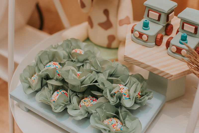 franciele duailibi photography; fotografia de festa infantil; festa infantil campo grande; campo grande; fotografia; decoração fazendinha ; buffet infantil campo grande; fotografa de criança; fotos de aniversario; franciele duailibi; festa de bebe; festa