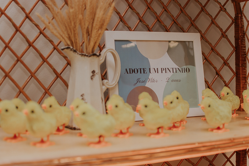 franciele duailibi photography; fotografia de festa infantil; festa infantil campo grande; campo grande; fotografia; decoração fazendinha ; buffet infantil campo grande; fotografa de criança; fotos de aniversario; franciele duailibi; festa de bebe; festa