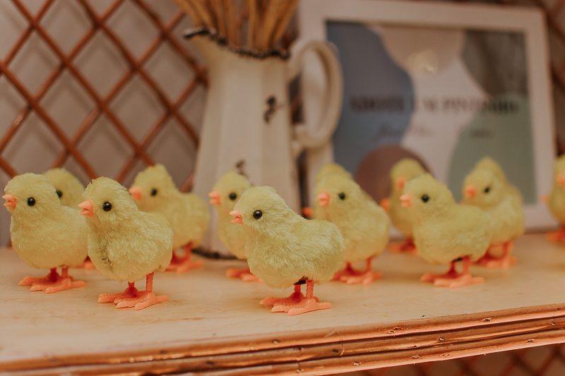 franciele duailibi photography; fotografia de festa infantil; festa infantil campo grande; campo grande; fotografia; decoração fazendinha ; buffet infantil campo grande; fotografa de criança; fotos de aniversario; franciele duailibi; festa de bebe; festa