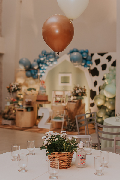 franciele duailibi photography; fotografia de festa infantil; festa infantil campo grande; campo grande; fotografia; decoração fazendinha ; buffet infantil campo grande; fotografa de criança; fotos de aniversario; franciele duailibi; festa de bebe; festa