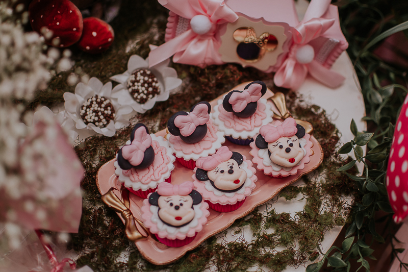 franciele duailibi photography; fotografo de festa infantil campo grande; campo grande; decoração de festa; buffet infantil campo grande; fotografa de criança; fotos de aniversario; franciele duailibi; fotografo de festa cg; festa minnie