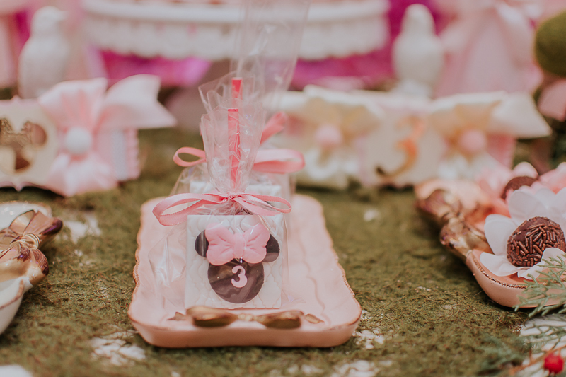 franciele duailibi photography; fotografo de festa infantil campo grande; campo grande; decoração de festa; buffet infantil campo grande; fotografa de criança; fotos de aniversario; franciele duailibi; fotografo de festa cg; festa minnie