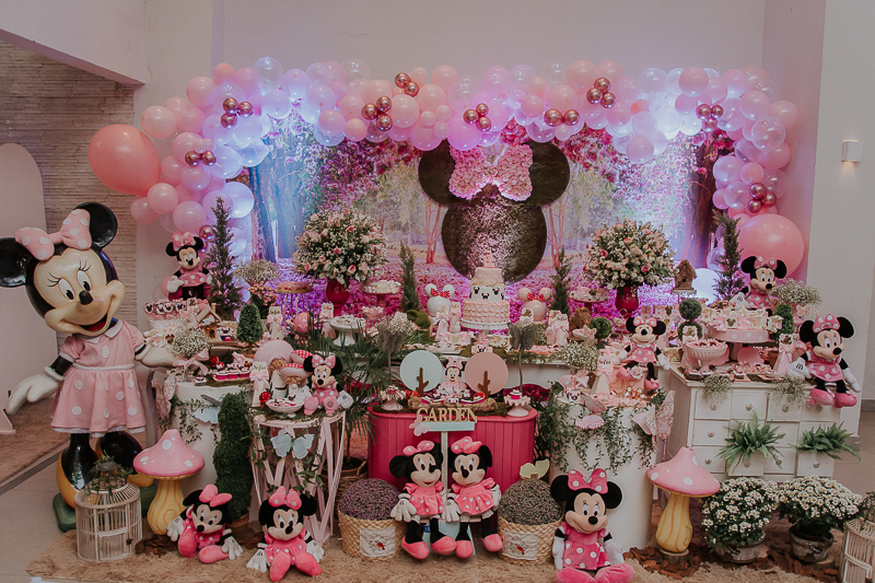 franciele duailibi photography; fotografo de festa infantil campo grande; campo grande; decoração de festa; buffet infantil campo grande; fotografa de criança; fotos de aniversario; franciele duailibi; fotografo de festa cg; festa minnie