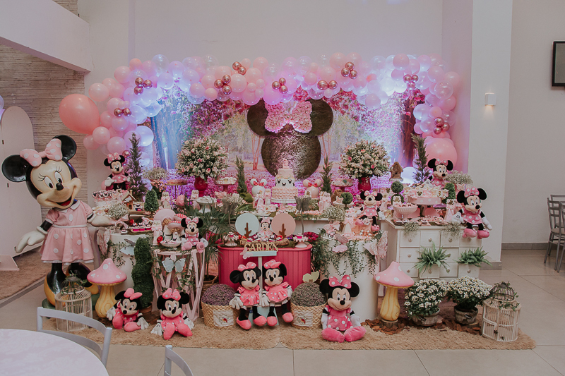 franciele duailibi photography; fotografo de festa infantil campo grande; campo grande; decoração de festa; buffet infantil campo grande; fotografa de criança; fotos de aniversario; franciele duailibi; fotografo de festa cg; festa minnie