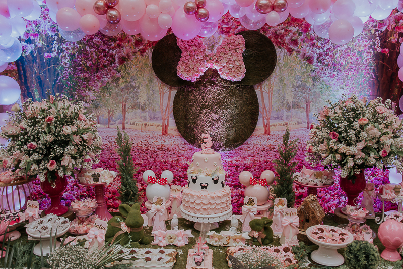 franciele duailibi photography; fotografo de festa infantil campo grande; campo grande; decoração de festa; buffet infantil campo grande; fotografa de criança; fotos de aniversario; franciele duailibi; fotografo de festa cg; festa minnie