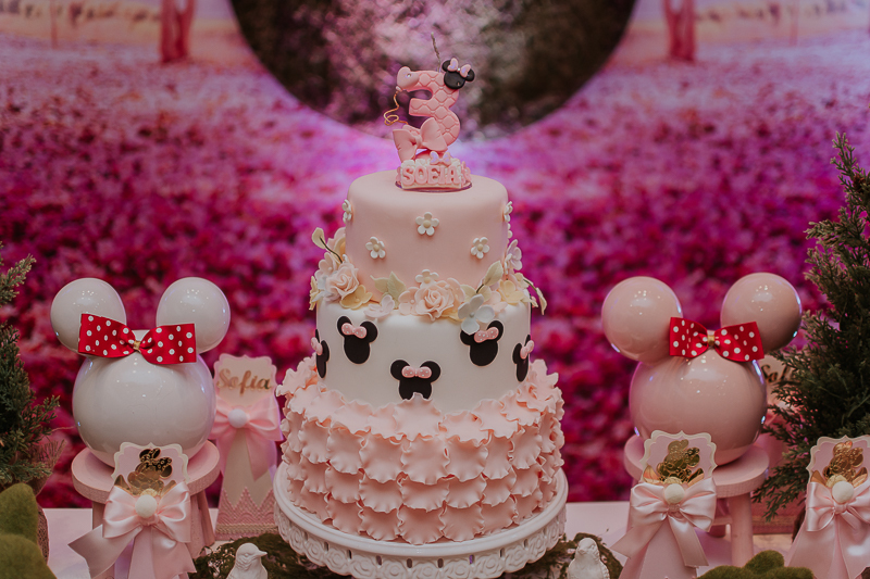 franciele duailibi photography; fotografo de festa infantil campo grande; campo grande; decoração de festa; buffet infantil campo grande; fotografa de criança; fotos de aniversario; franciele duailibi; fotografo de festa cg; festa minnie