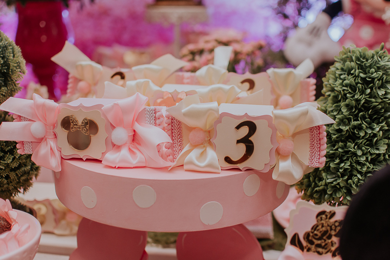 franciele duailibi photography; fotografo de festa infantil campo grande; campo grande; decoração de festa; buffet infantil campo grande; fotografa de criança; fotos de aniversario; franciele duailibi; fotografo de festa cg; festa minnie