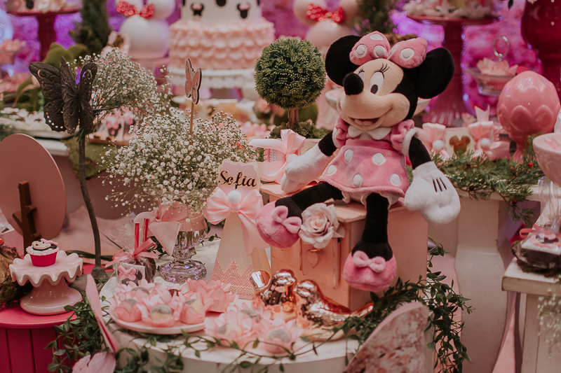 franciele duailibi photography; fotografo de festa infantil campo grande; campo grande; decoração de festa; buffet infantil campo grande; fotografa de criança; fotos de aniversario; franciele duailibi; fotografo de festa cg; festa minnie