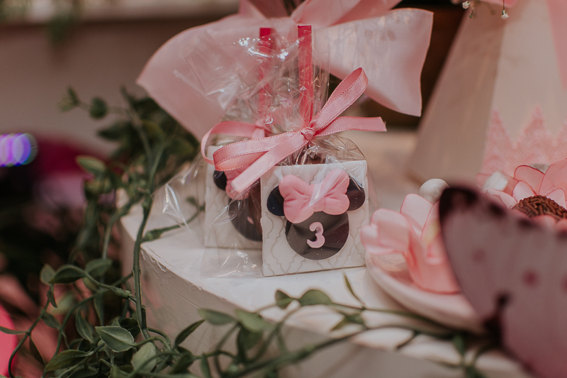 franciele duailibi photography; fotografo de festa infantil campo grande; campo grande; decoração de festa; buffet infantil campo grande; fotografa de criança; fotos de aniversario; franciele duailibi; fotografo de festa cg; festa minnie