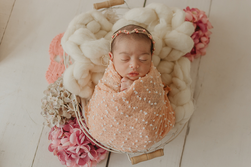  sessao newborn; newborn; campo grande; baby boy; fotos fran duailibi; mae de menina; pai de menina; newborn girl; mudo rosa; ensaio newborn; fotos de recem nascido campo grande; fotografo em campo grande; fotos de bebe; bebe com mamae; bebe com familia