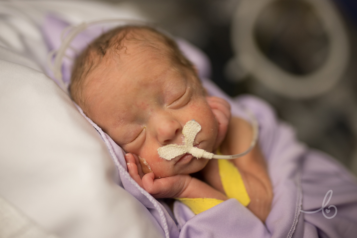 Imagem capa - Newborn em UTI Neonatal: Sim! É possível! 💜💜💜 por Fernanda Luz