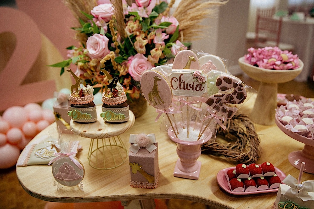 aniversario - aniversario infantil - mae de menina - festa infantil - tema safari menina - fotografos jaragua do sul - fotografos de familia - chroma fotografia