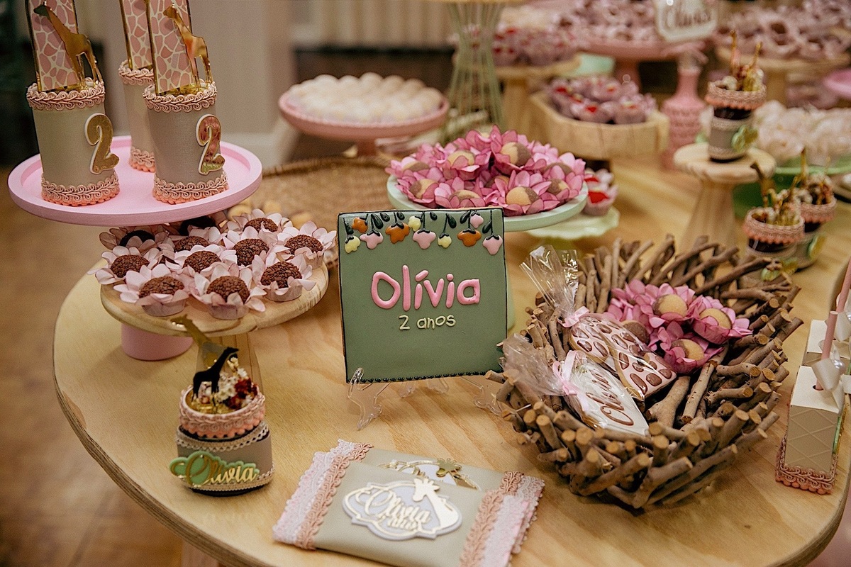 aniversario - aniversario infantil - mae de menina - festa infantil - tema safari menina - fotografos jaragua do sul - fotografos de familia - chroma fotografia