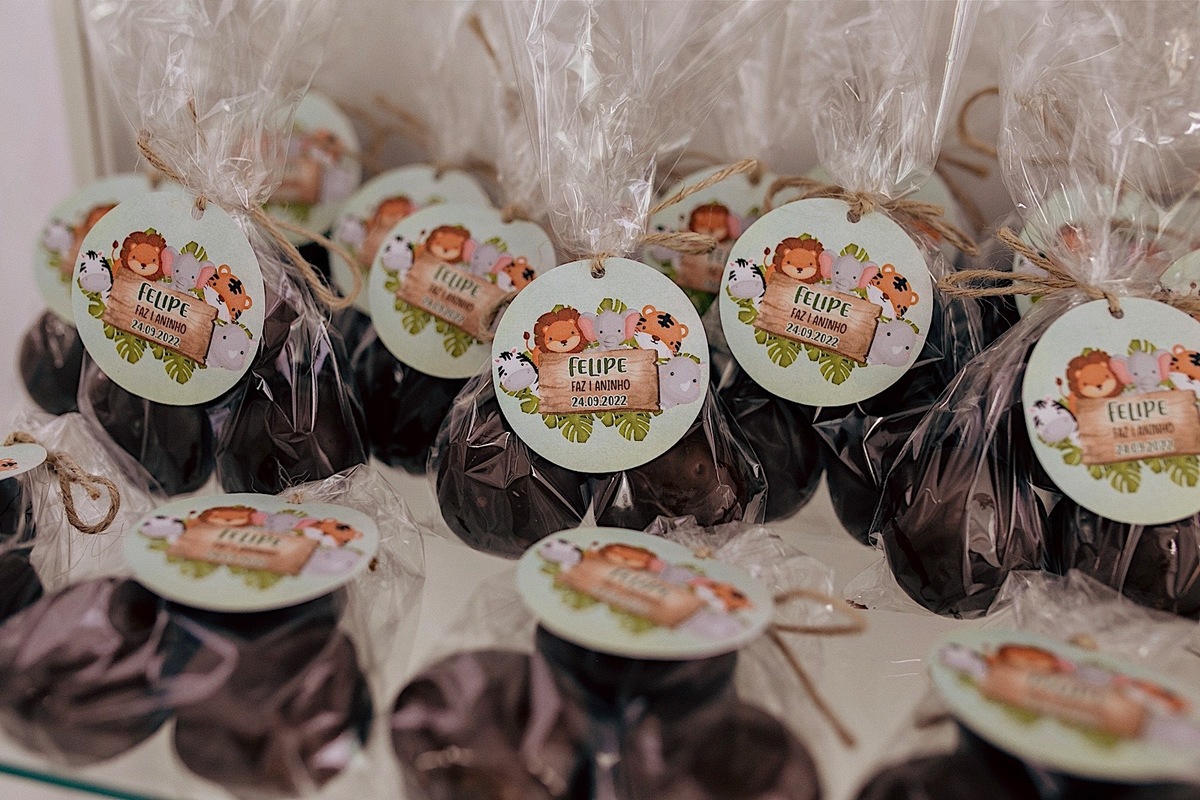 aniversario - aniversario infantil - aniversario de 1 ano - tema safari  - mae de menino - pai de menino - festa infantil - fotografos de familia - fotografos jaragua do sul - chroma fotografia