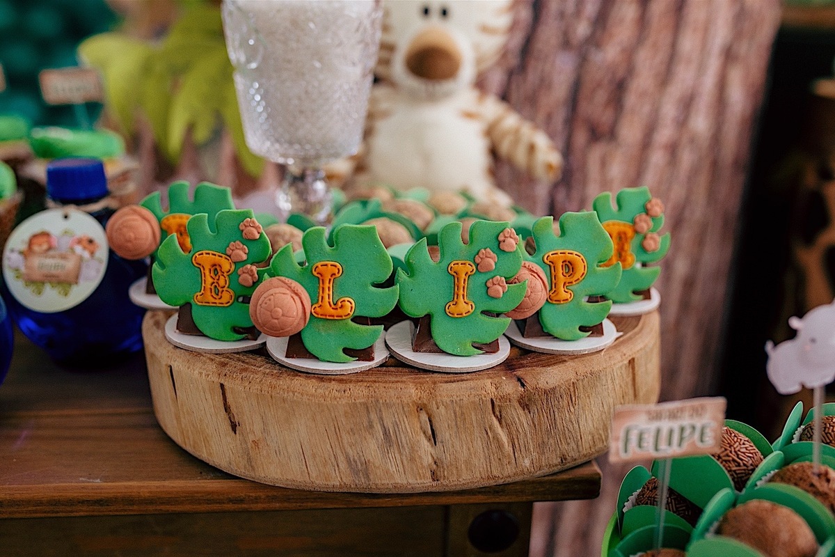 aniversario - aniversario infantil - aniversario de 1 ano - tema safari  - mae de menino - pai de menino - festa infantil - fotografos de familia - fotografos jaragua do sul - chroma fotografia