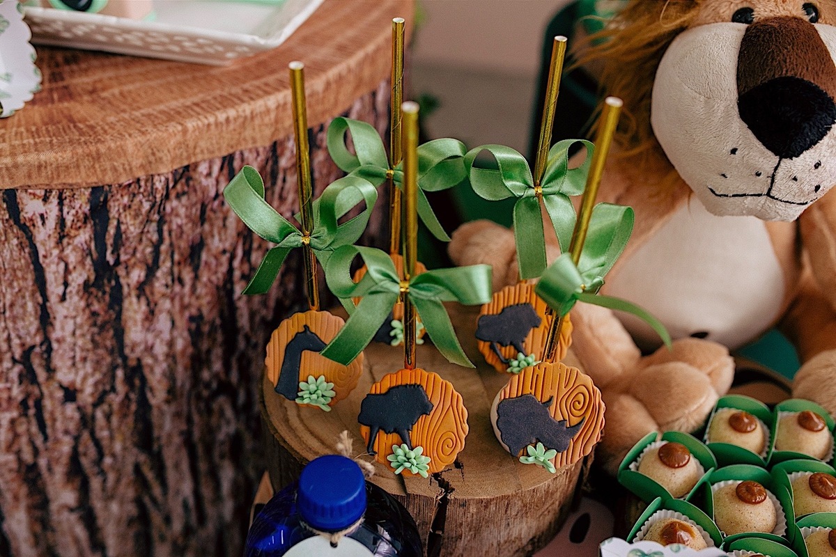 aniversario - aniversario infantil - aniversario de 1 ano - tema safari  - mae de menino - pai de menino - festa infantil - fotografos de familia - fotografos jaragua do sul - chroma fotografia