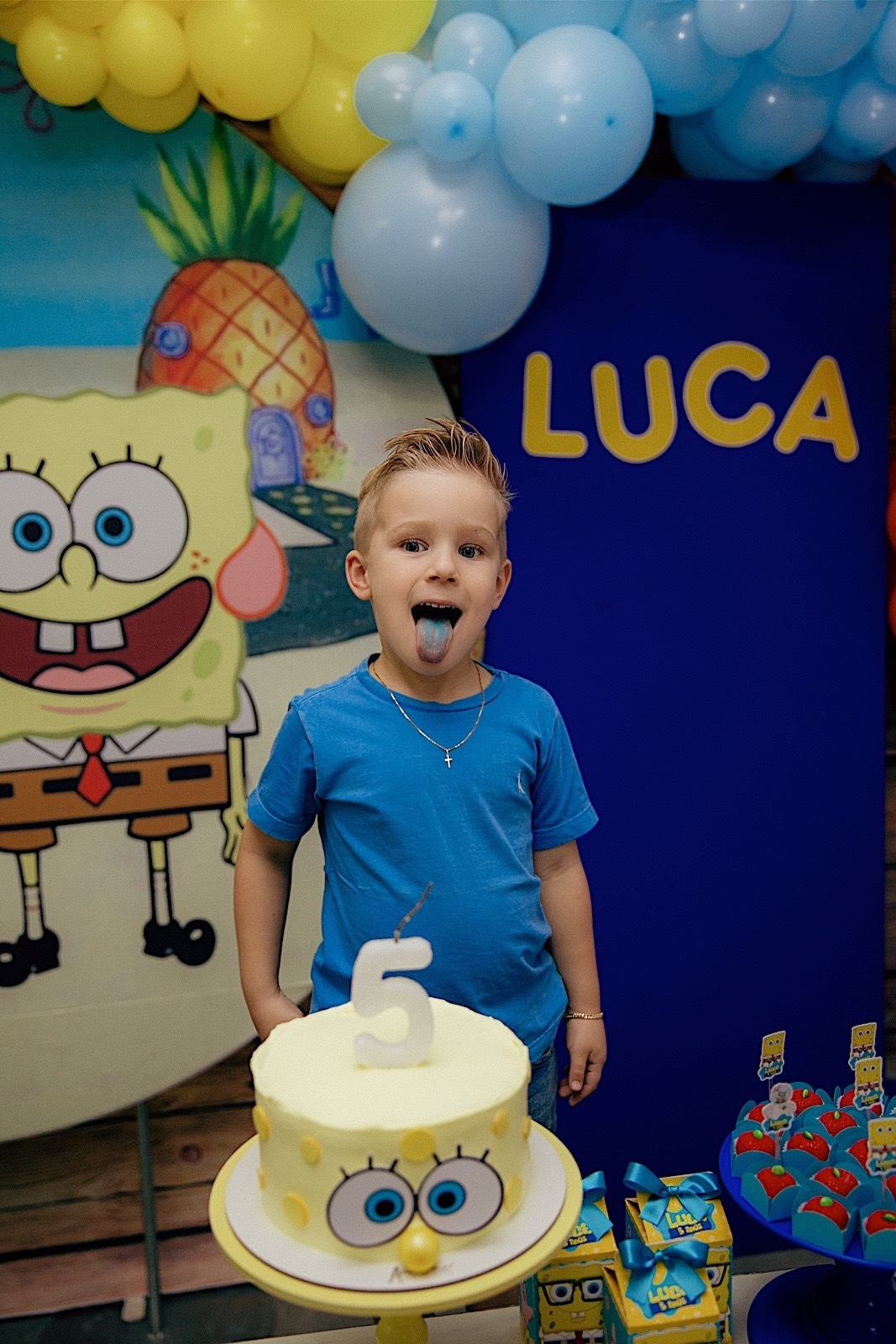 aniversario - aniversario infantil - festa de aniversario - aniversario em jaraguá do sul - fotografos jaragua do sul - chroma fotografia - fotografia infantil