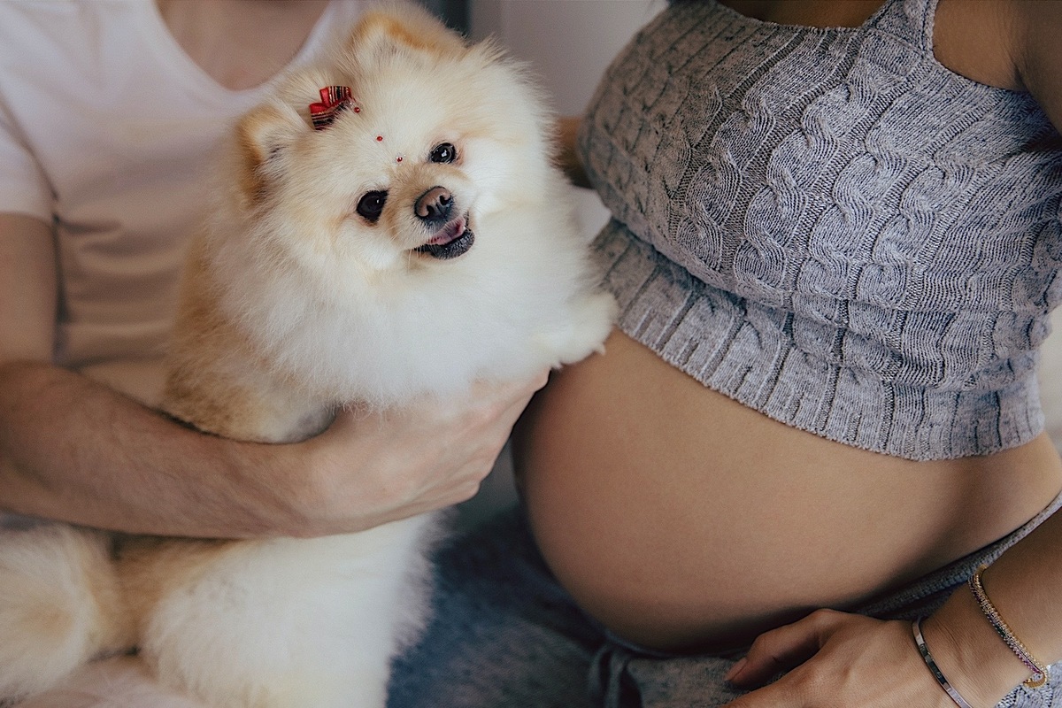 ensaio gestante - gestante - ensaio família - ensaio a espera de Lara - ensaio em casa - ensaio em jaraguá do sul - fotografia de familia - fotografos jaragua do sul - chroma fotografia